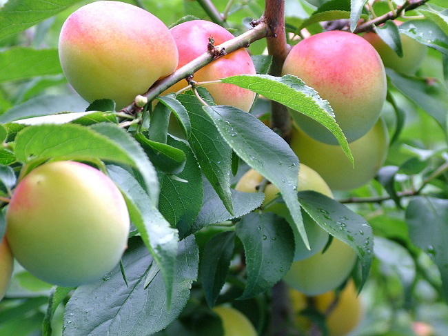 �썂�~�i�~�j