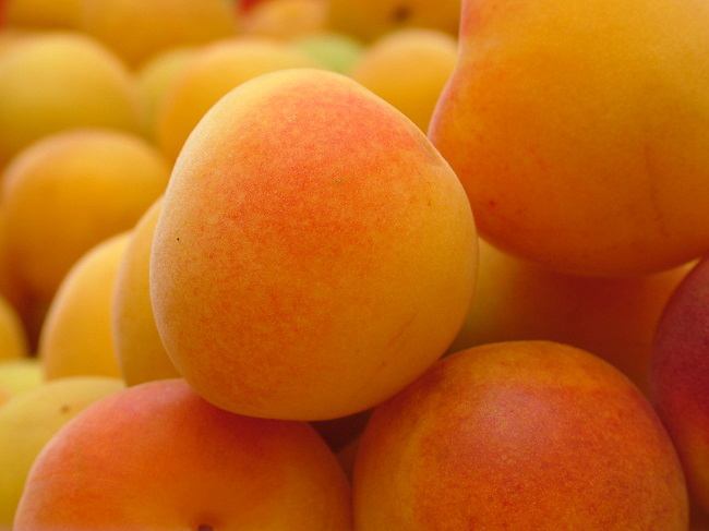 ���n�̓썂�~