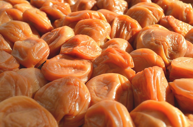 8���̓y�p����