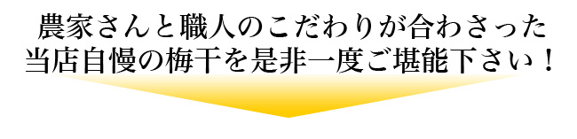 ���X�����̔~���𐥔��x�����\�������I