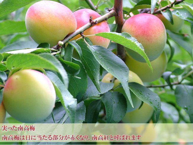 �������썂�~