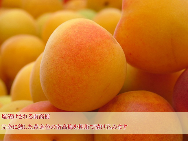 ���n�����썂�~