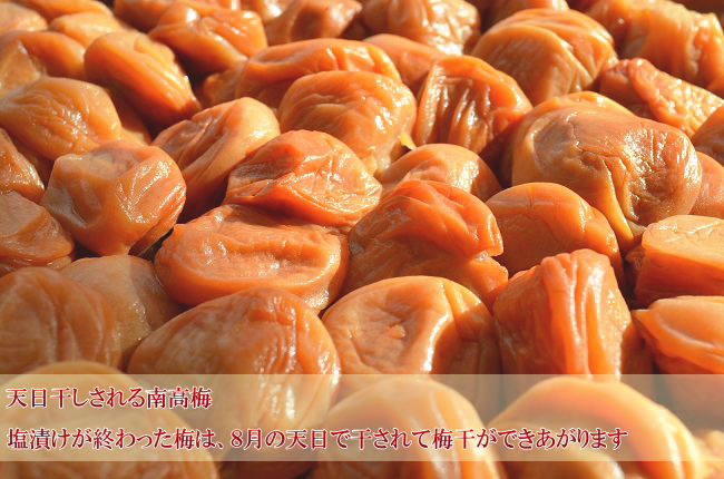 �V�������@�y�p���������~��